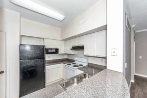 Enclave-at-Copperfield 28